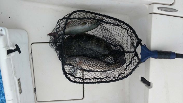 NX Fishing Charters • Topsail - Wrightsville - Carolina Beaches